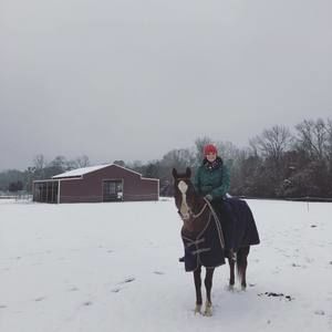 Meet your Posher, Anna